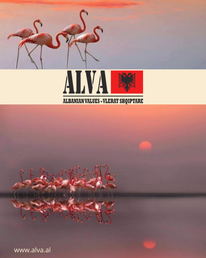 Flamingo ALVA 1